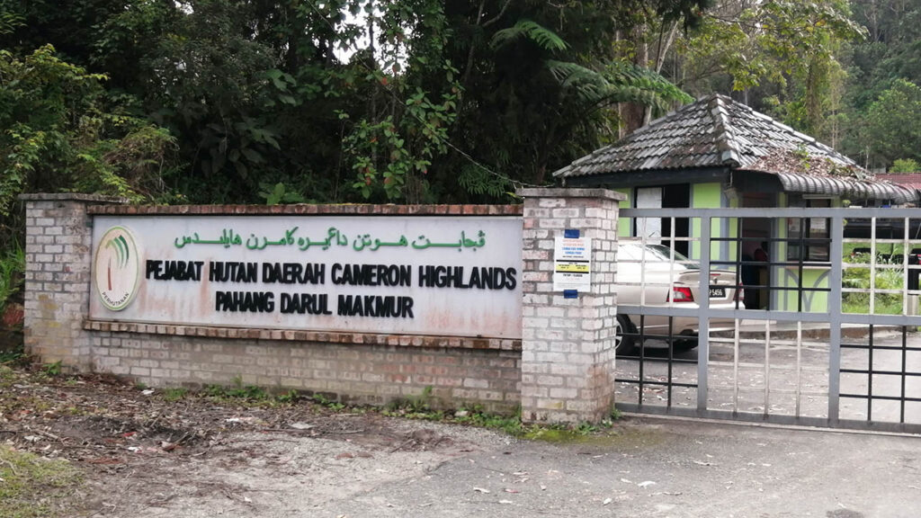 pejabat hutan daerah cameron highlands