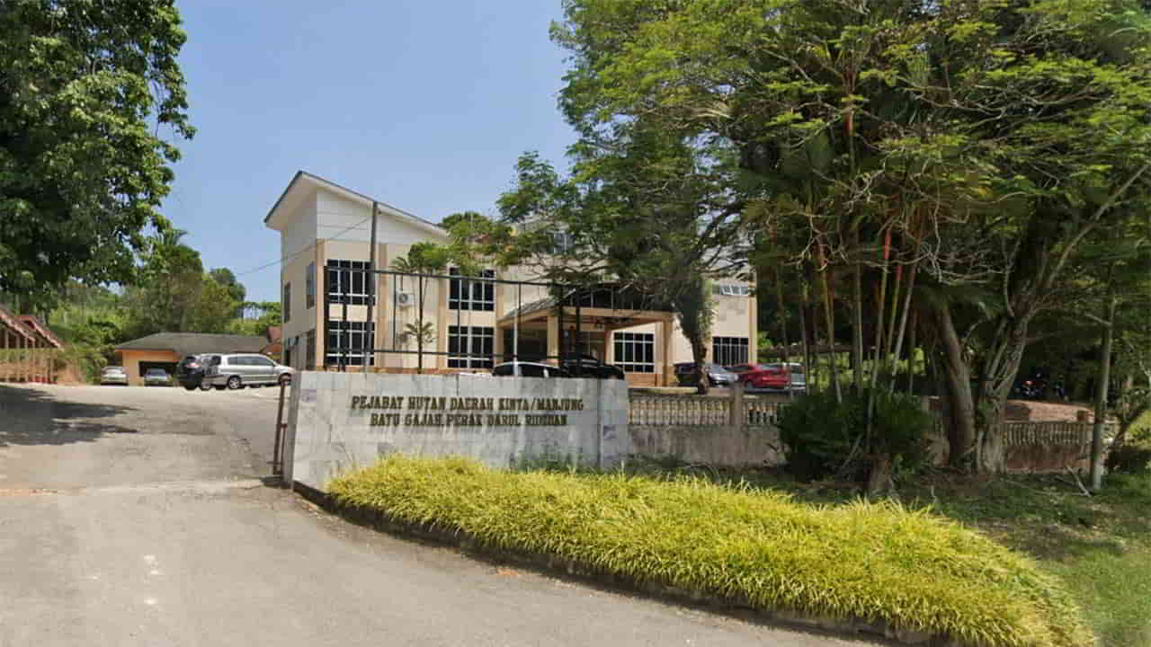 pejabat hutan daerah kinta manjung