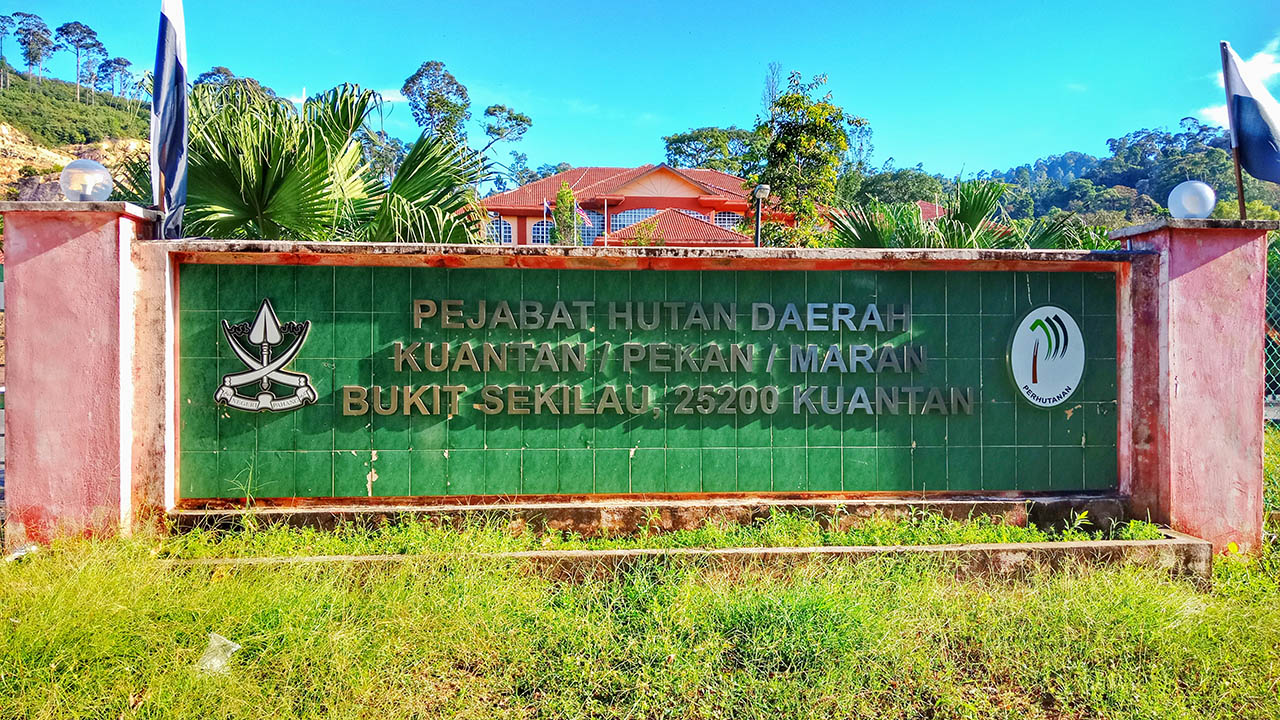 pejabat hutan daerah kuantan