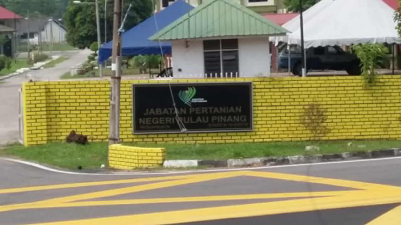 jabatan pertanian negeri pulau pinang