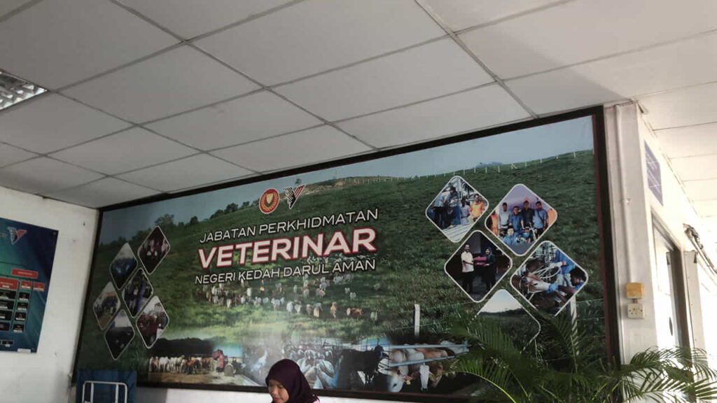 jabatan perkhidmatan veterinar negeri kedah