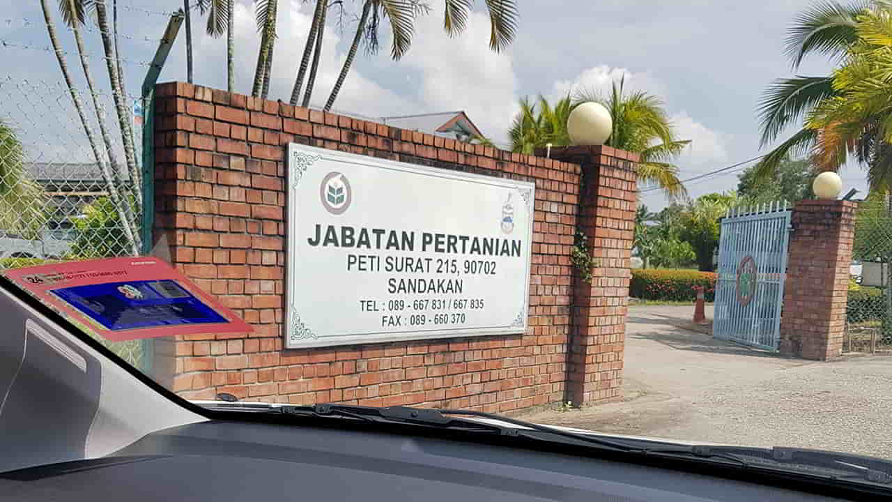 jabatan pertanian daerah sandakan