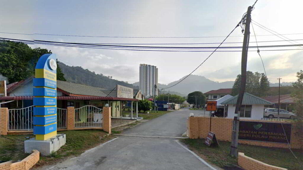 jabatan pertanian pulau pinang