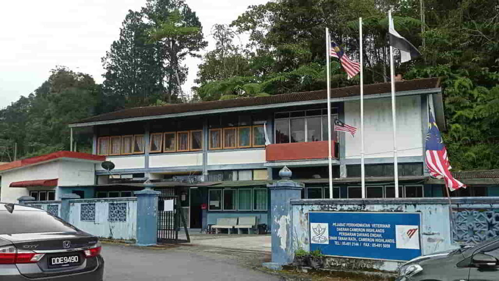 jabatan perkhidmatan veterinar daerah cameron highlands