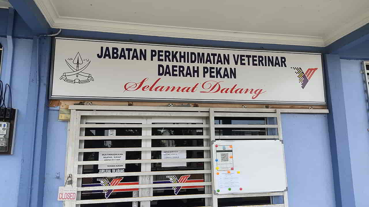 jabatan perkhidmatan veterinar daerah pekan