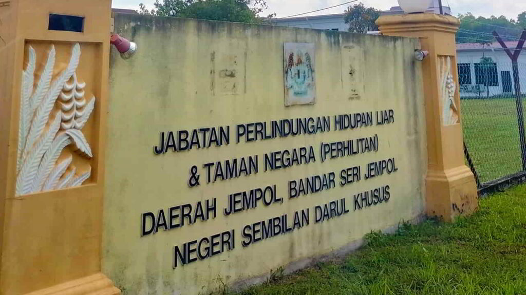 jabatan perhilitan daerah jempol