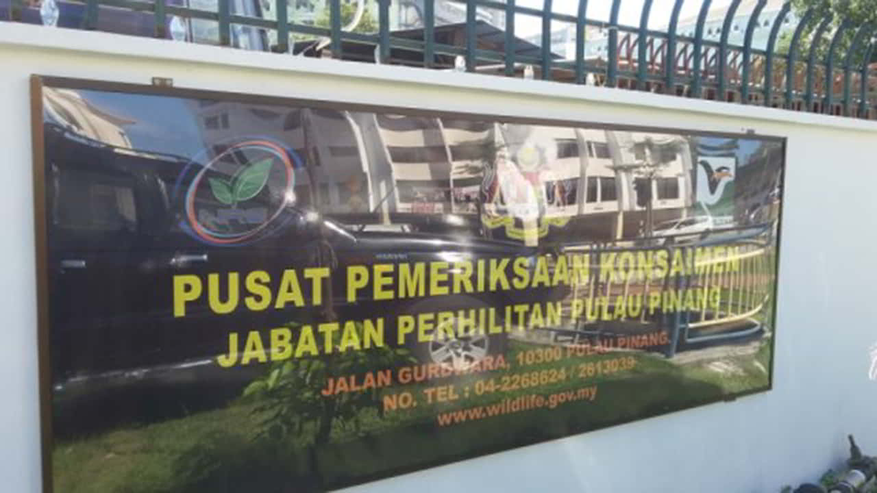 pusat pemeriksaan konsainan jabatan perhilitan pulau pinang